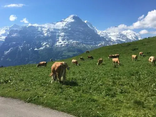 Locherboden
