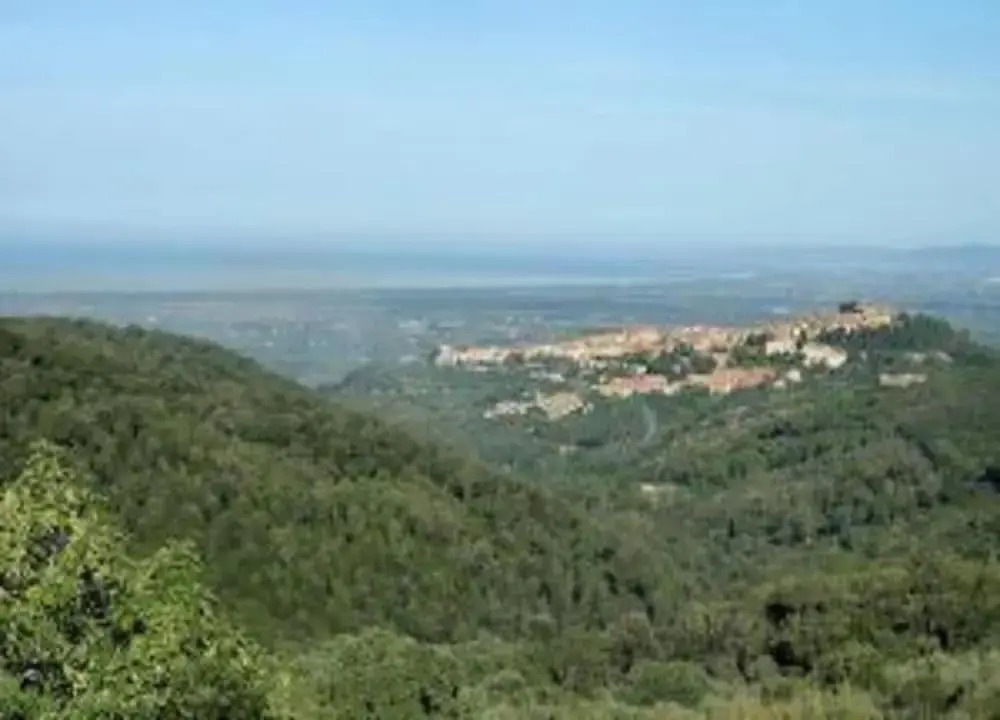 Holiday Home in Castagneto Near the Beach