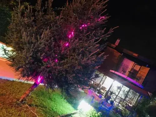 Sarayli Hotel
