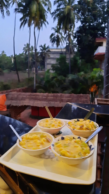 Tropical Wave Hostel Morjim Goa