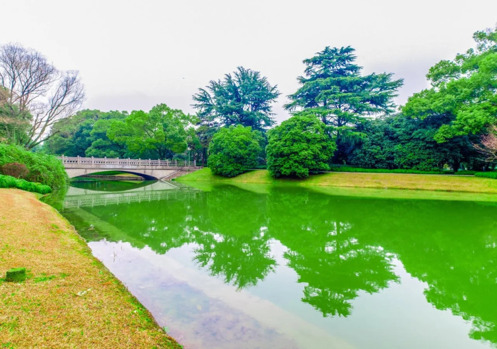 Xijiao State Guest Hotel