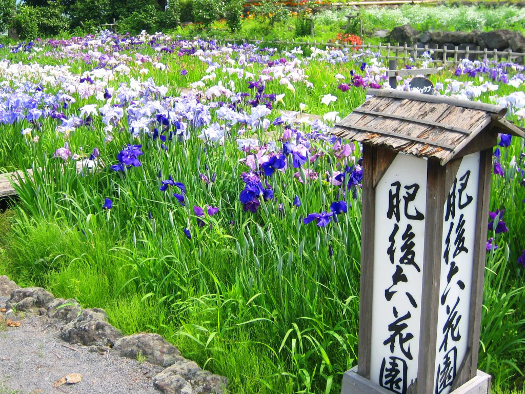 Kamenoi Hotel Aso Park Resort