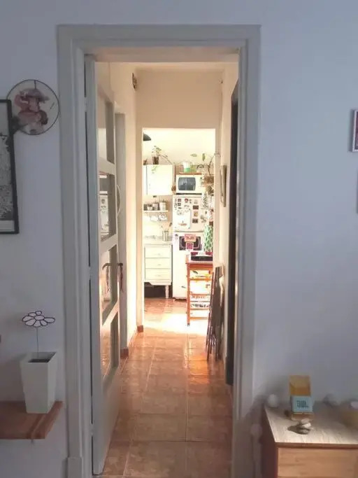 Cálido apartamento a 8 cuadras del mar y a 3 de 18 Julio Hay una gatita