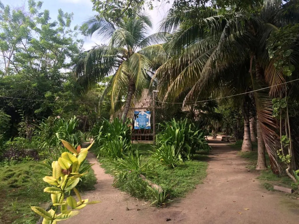 Eco Hotel Las Palmeras