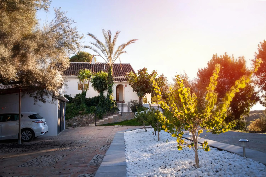 Finca palmers