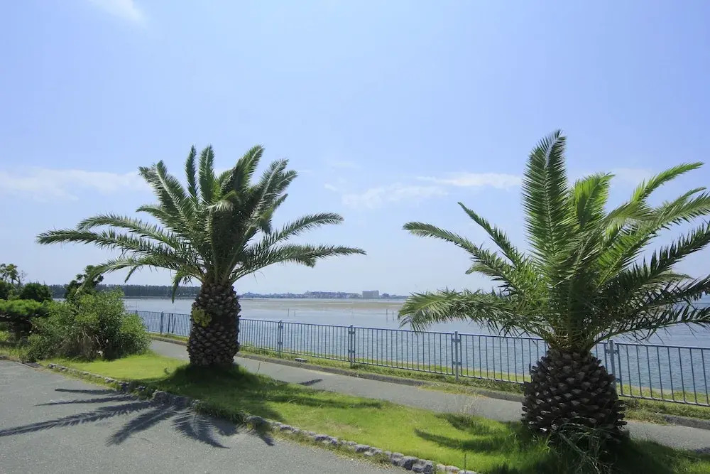 Matsuichi