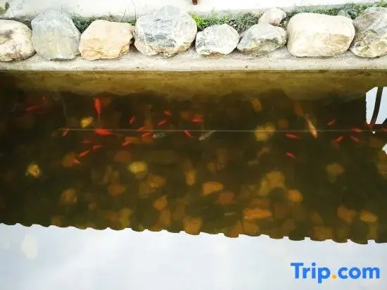 Jing County Tianyuan Zhijia Chinese Inn