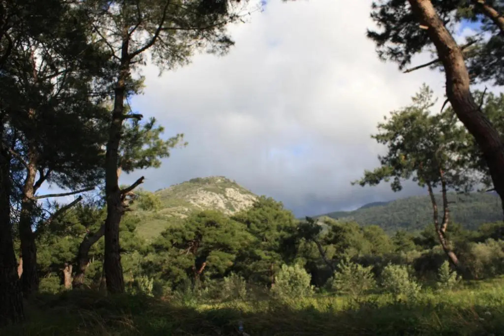 Samos Apart Pension