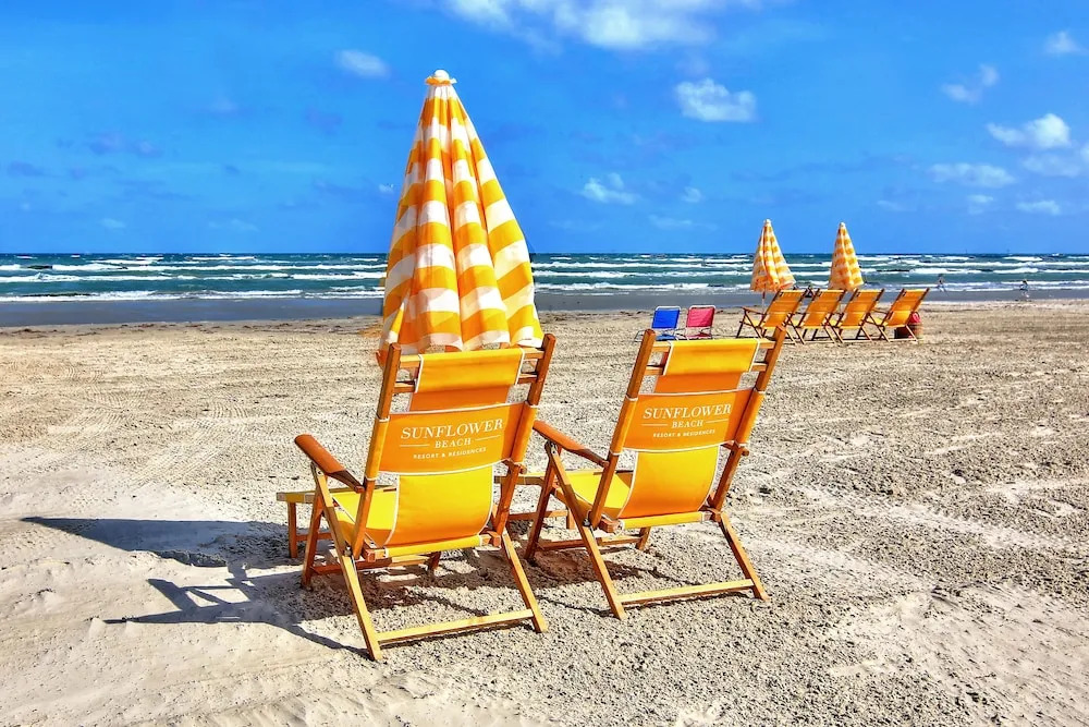 A Sight To Sea At Sunflower Beach