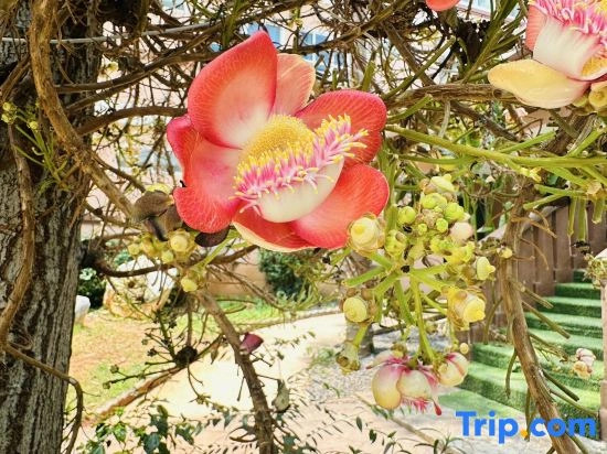 Phuranya Resort