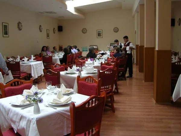 Hotel Ferdinand Baile Herculane