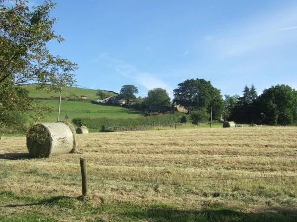 The Wind in the Willows Country House Hotel