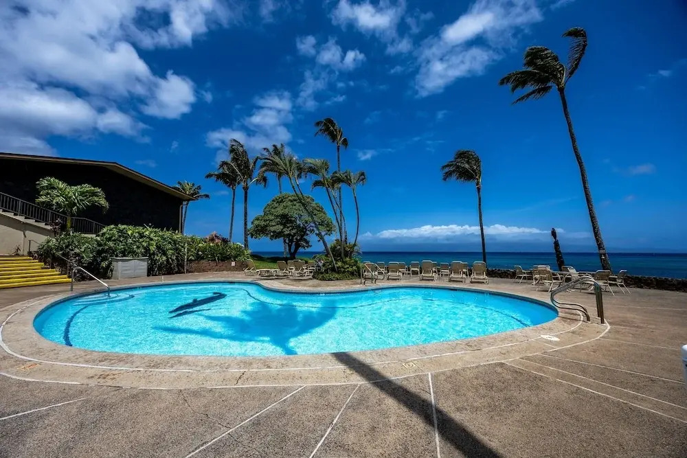 Napili Shores G258 Studio Condo Condo