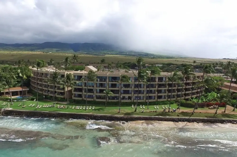 Paki Maui 109