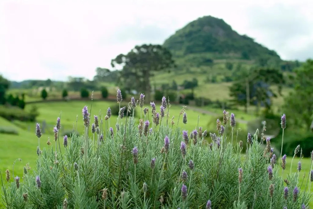 Estalagem La Hacienda