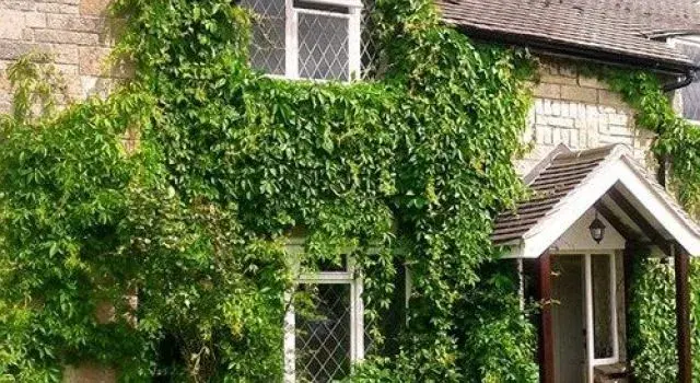 Ward Avenue B&B