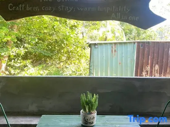 The Snail Haven Pub And Stay - Con Dao