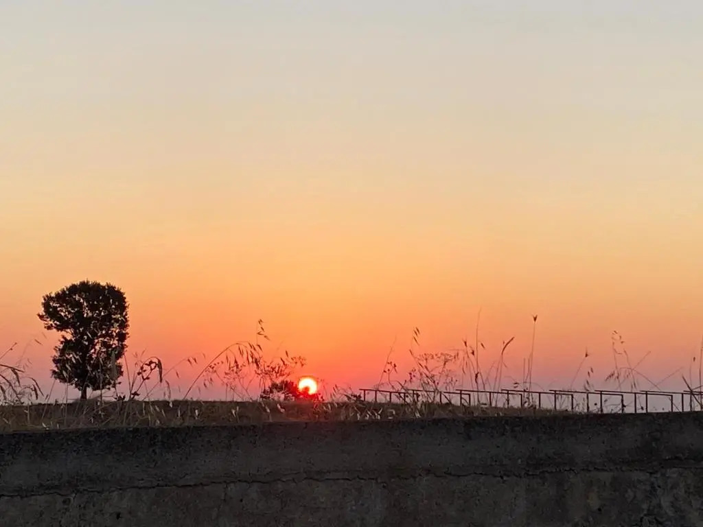 Gioia Infinita