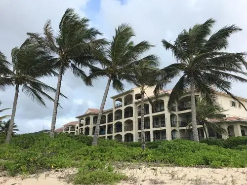 Palms at Pelican Cove