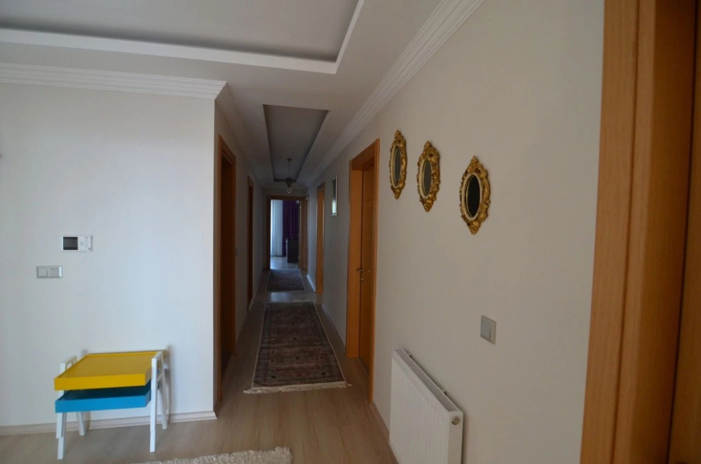 Elite Suite