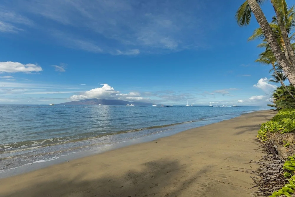 Lahaina Shores #218 Condo