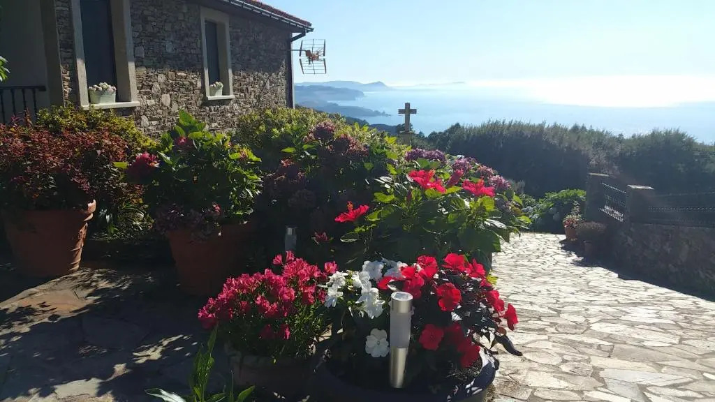 Casa Golmar 20
