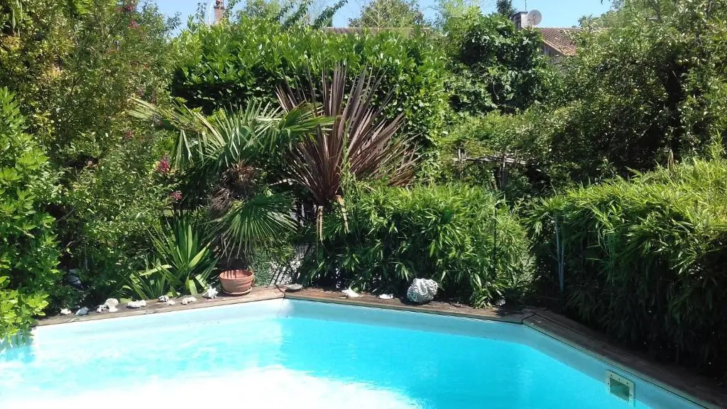 Maison dhôtes Lîlot bambou