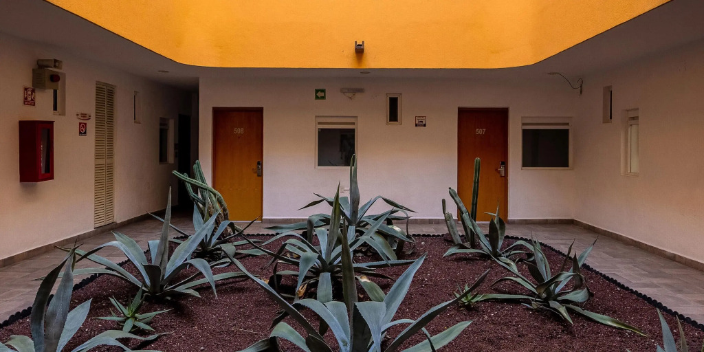 Opportunity León