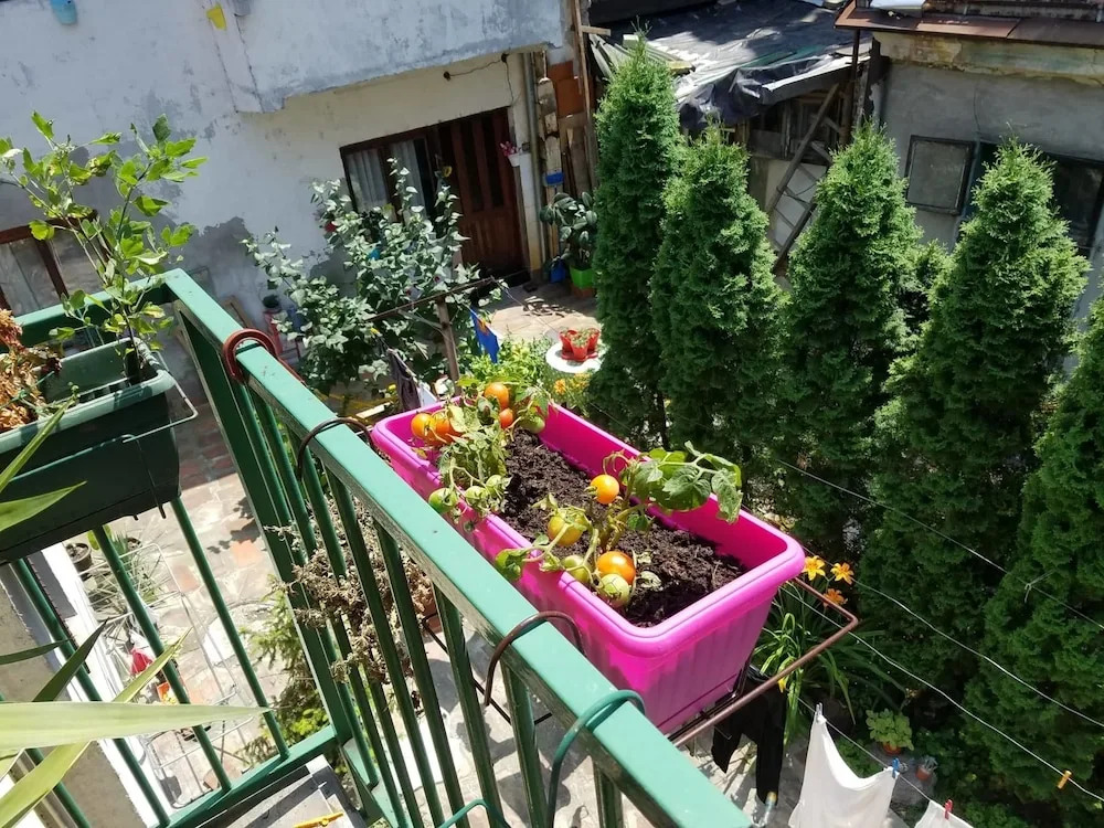 Downtown Duplex