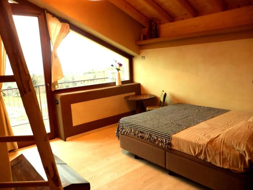 B&B Asinochevola