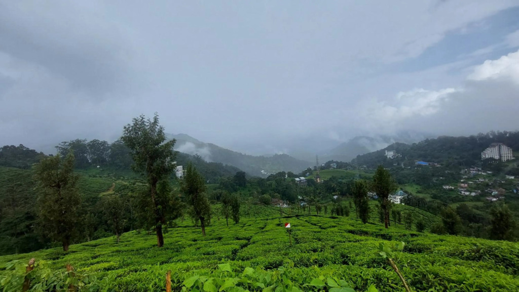 Haritha Homestay Munnar