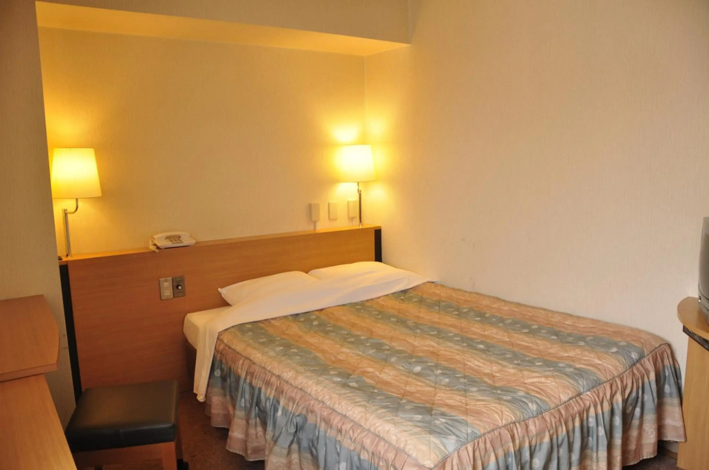 Hotel Kamoike Plaza