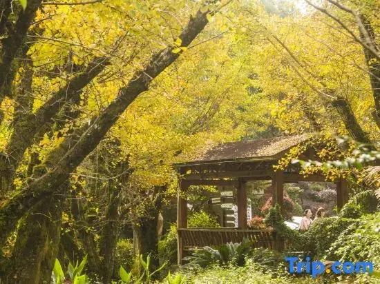 Sweetome Vacation Rentals (Wencheng Tianding Lake)