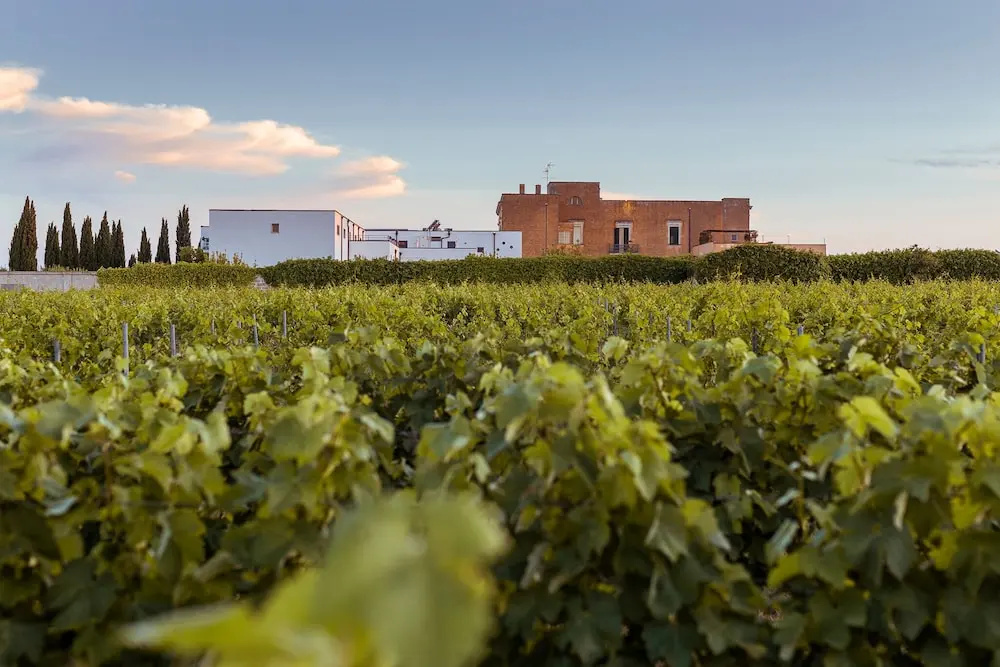 Tenuta Giardini Nuovi