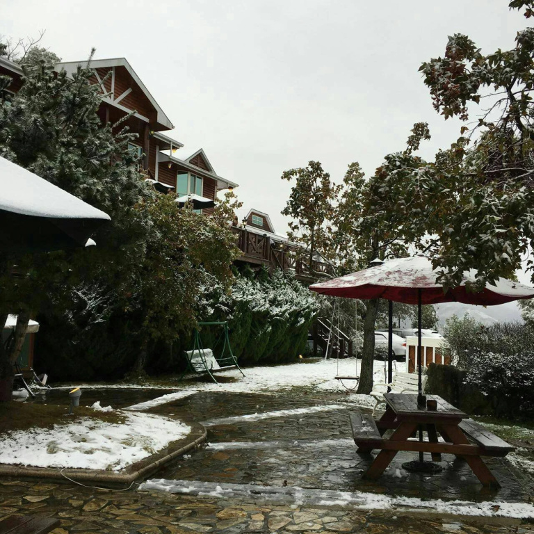 Yosemite Park B&B