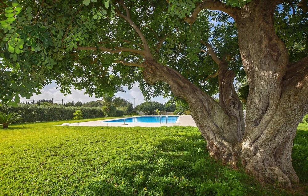 Beautiful Home in Santa Croce Camerina With Wifi, 4 Bedrooms and Outdoor Swimming Pool