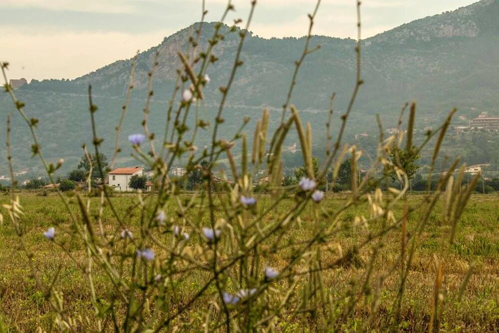 House With 3 Bedrooms in Capaccio   Paestum, With Furnished Garden Near the Beach