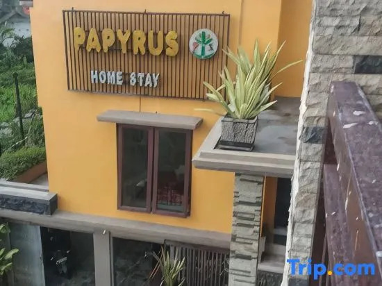 Papyrus Homestay