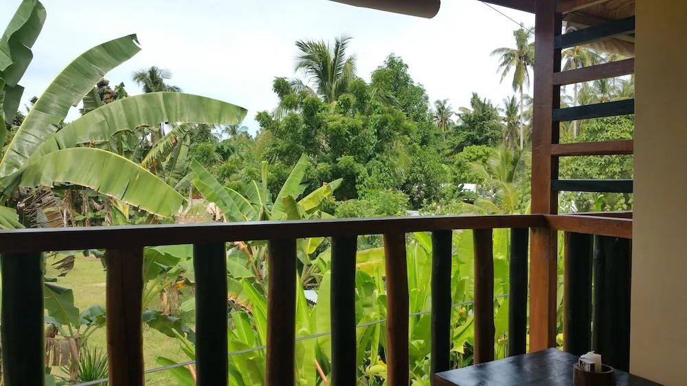 El Nido Dragonfly