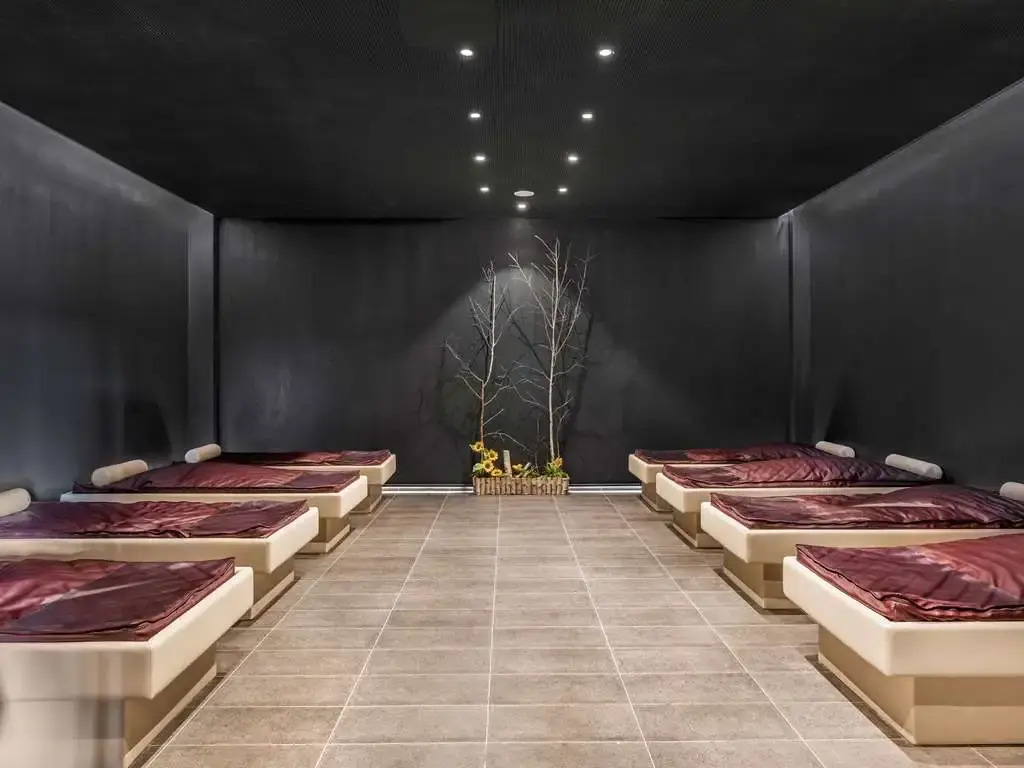 Movenpick Resort and Spa Fruske Terme