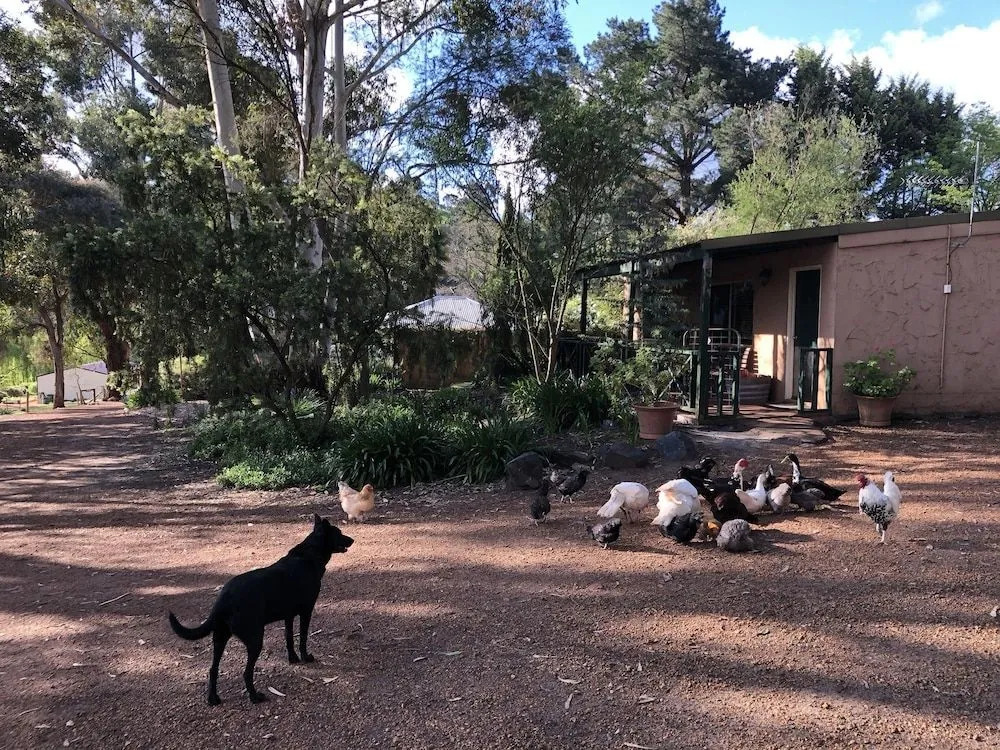 Country Cottages of Bridgetown