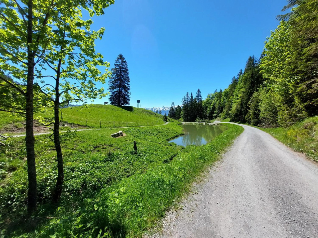 Ferienwohnung Alpblick
