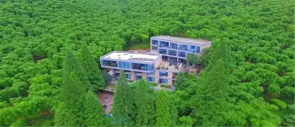 Dasein Hotel MGS