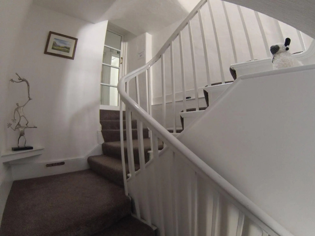 Ty Helyg Guest House