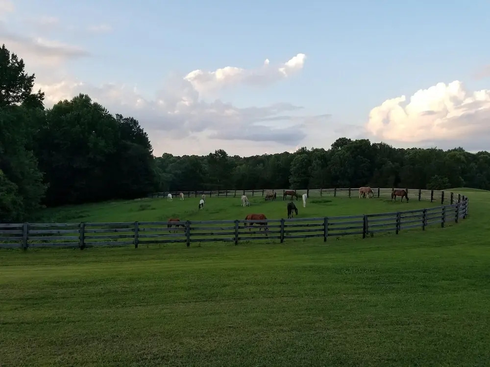 Barren River Lake State Resort Park