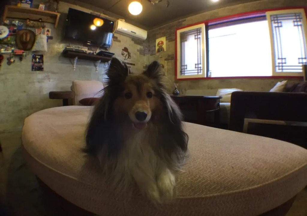Mr.Comma Guesthouse - Hostel