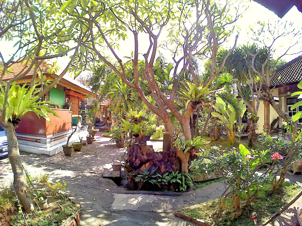 Surf Doggie Inn