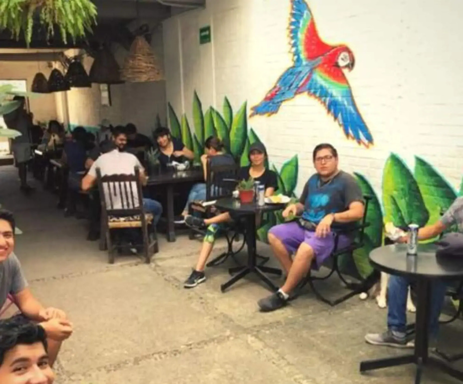 Canova Hostel & Pizza