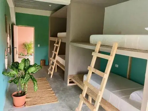The Journey Hostel