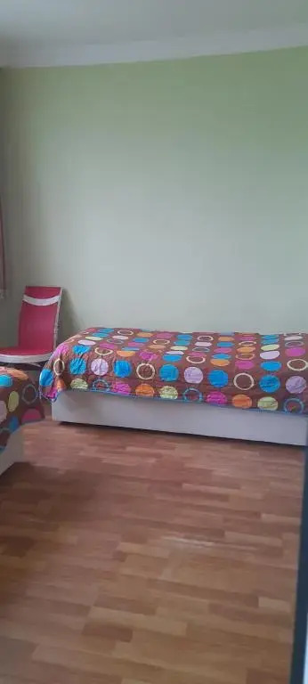 Mirza 84